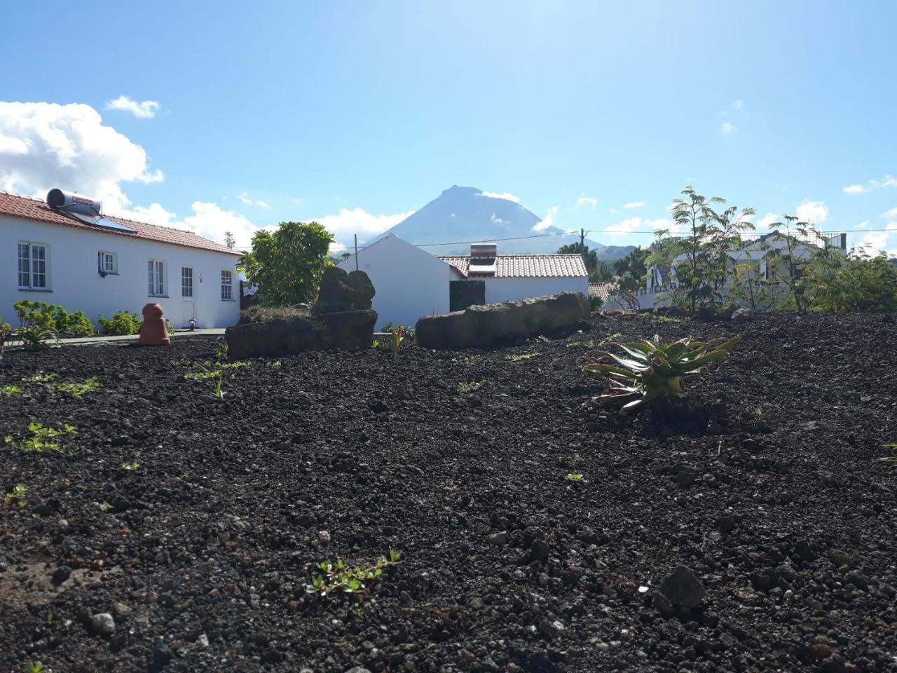 Casas Do Verdelho Мадалена Экстерьер фото
